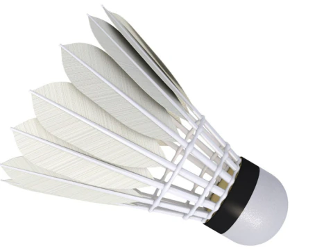 Badminton Collection 1 3D Model