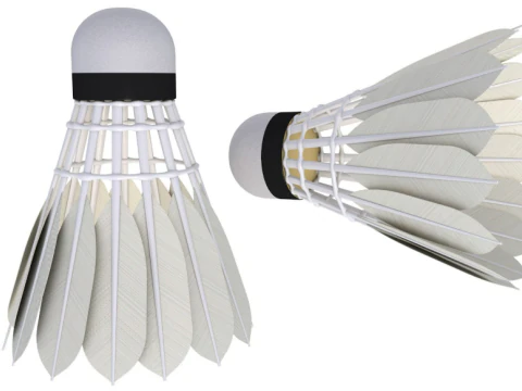 Badminton Collection 1 3D Model