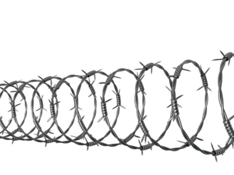 Barbed Wire 3D Model