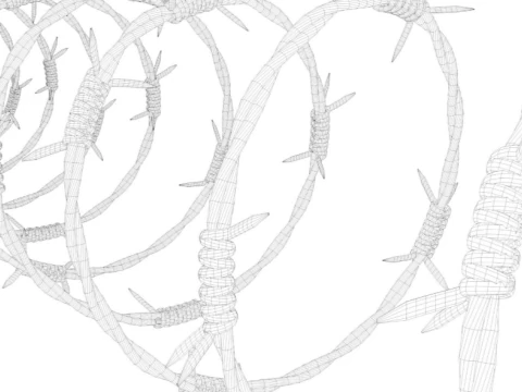 Barbed Wire 3D Model