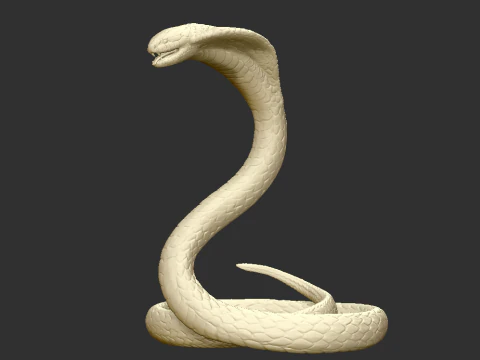 Cobra Snake STL Highly Detailed 3D Printable Model for Resin Printing 3D Print Model