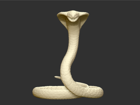 Cobra Snake STL Highly Detailed 3D Printable Model for Resin Printing Modèles 3D en vedette