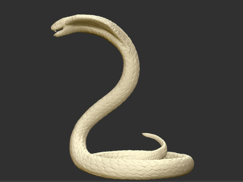 Cobra Snake STL Highly Detailed 3D Printable Model for Resin Printing Modèles 3D en vedette