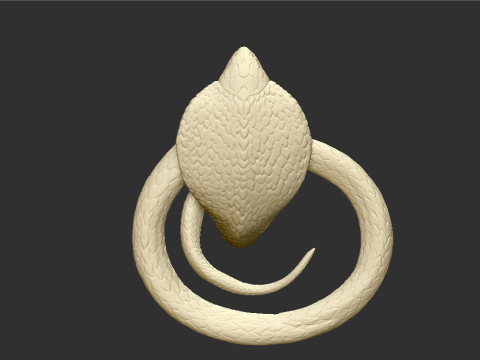 Cobra Snake STL Highly Detailed 3D Printable Model for Resin Printing Modèles 3D en vedette