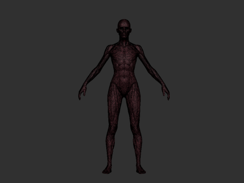 Female Anatomy Reference Model Printable STL for Sculpting Study 3D Принт Модель