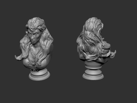Wild Woman Bust 3D Print Model