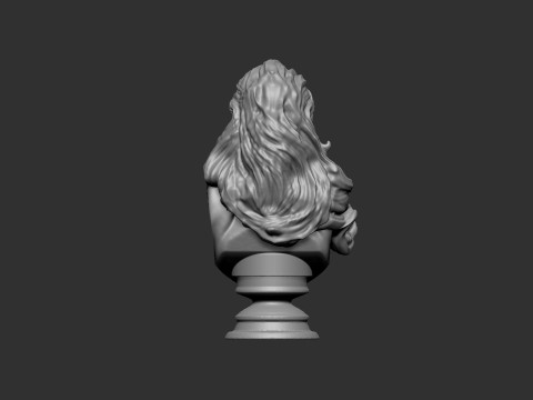 Wild Woman Bust 3D Print Model