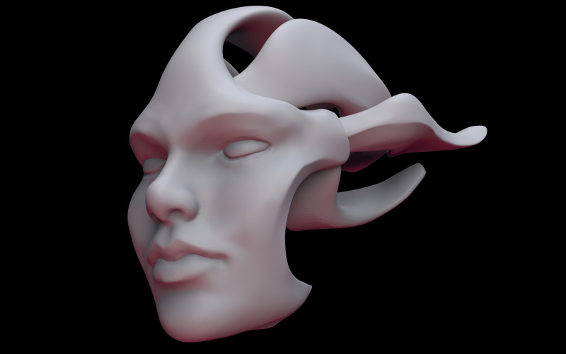 Face Shell 3Dプリントモデル .c4d .max .obj .3ds .fbx .stl .blend 