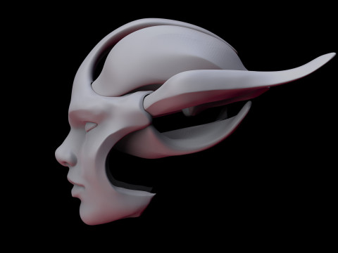 Face Shell 3Dプリントモデル