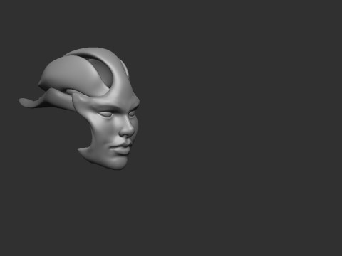 Face Shell 3Dプリントモデル