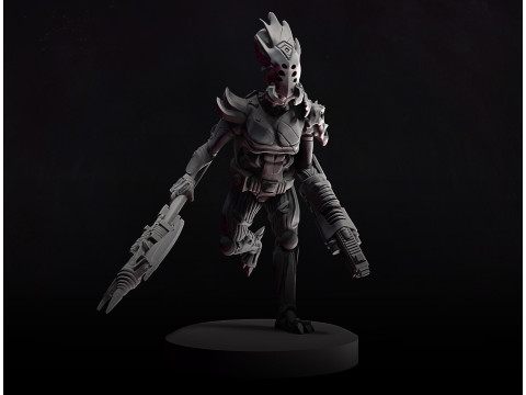 Alien Warrior Hunter 3D Print Model