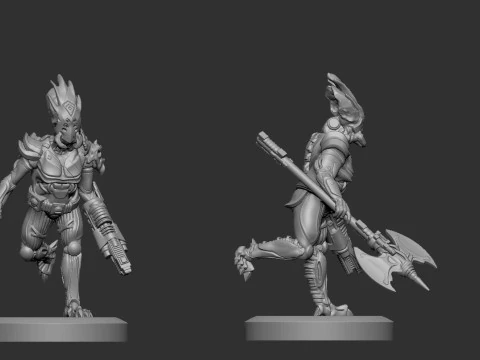 Ca&ccedil;ador Guerreiro Alien&iacute;gena Modelo de Impressão 3D