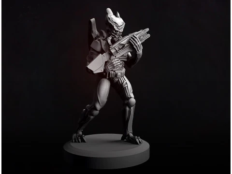 Guerreiro Alien&iacute;gena C Modelo de Impressão 3D