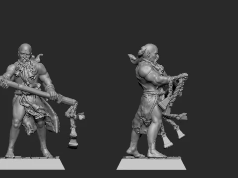 Flagelant 3D Print Model