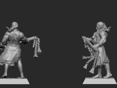 Flagelant 3D Print Model