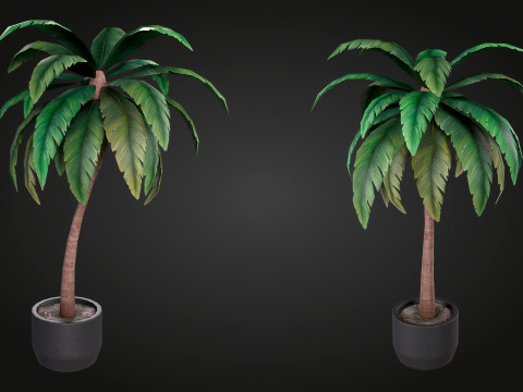Palm Modello 3D