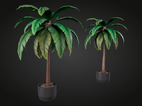Palm Modello 3D