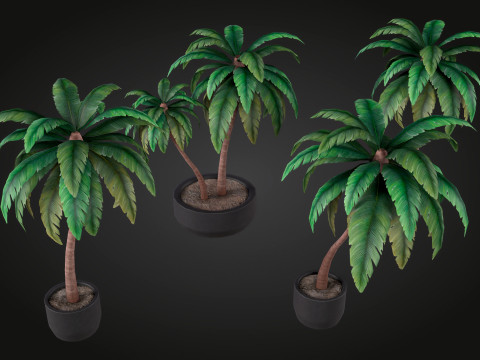 Palm Modello 3D