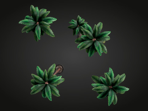 Palm Modello 3D