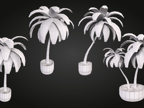 Palm Modello 3D