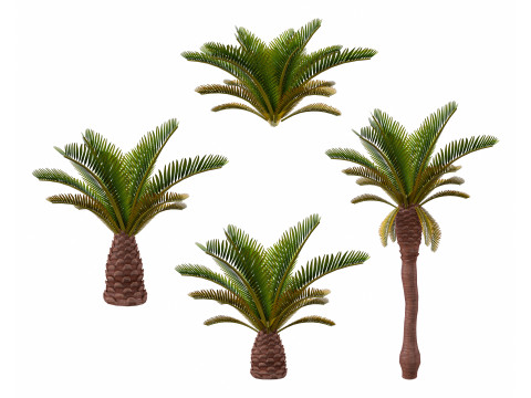 Palm Modèle 3D