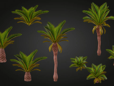 Palm 3D Model