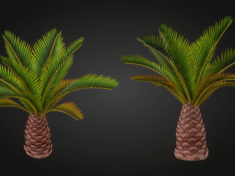Palm 3D Model