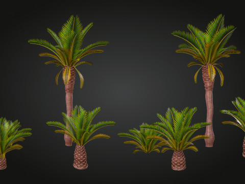 Palm 3D Model