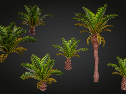 Palm 3D Model