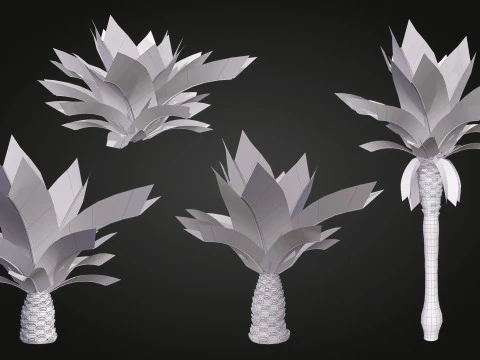 Palm 3D Model