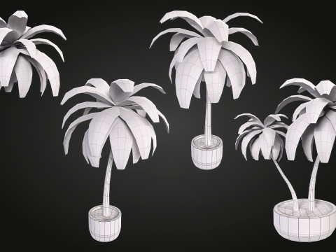 Palm 3D Model