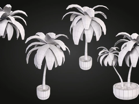 Palm 3D Model
