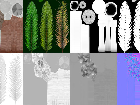 Palm 3D Model