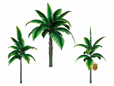 Banana Tree 3D 模型