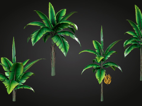 Banana Tree Modello 3D