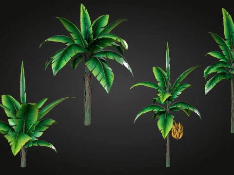 Banana Tree 3D Model