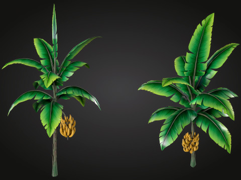 Banana Tree Modello 3D
