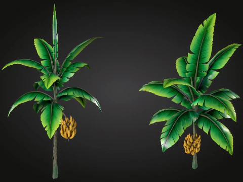Banana Tree 3D Model