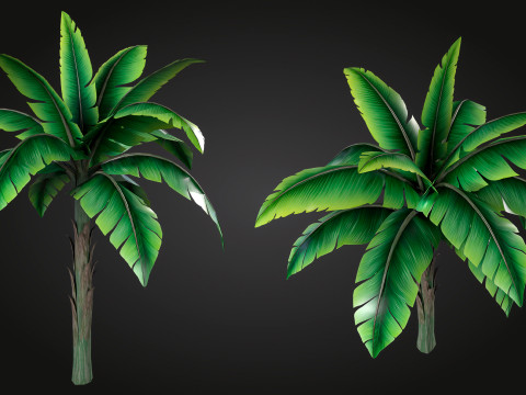 Banana Tree Modello 3D