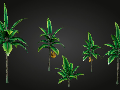 Banana Tree Modello 3D