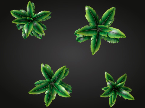 Banana Tree Modello 3D