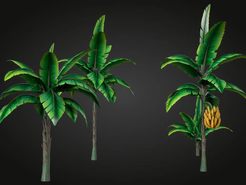 Banana Tree 3D Model