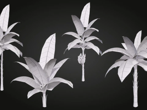 Banana Tree 3D Model
