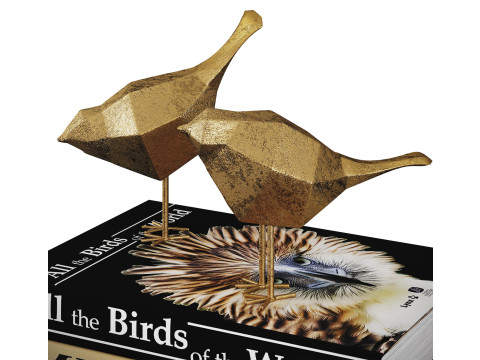 Birds 3D-Modell