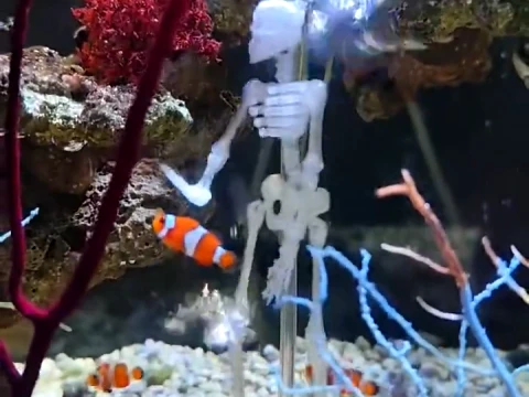 Dancing skeleton for an aquarium 3D Print Model