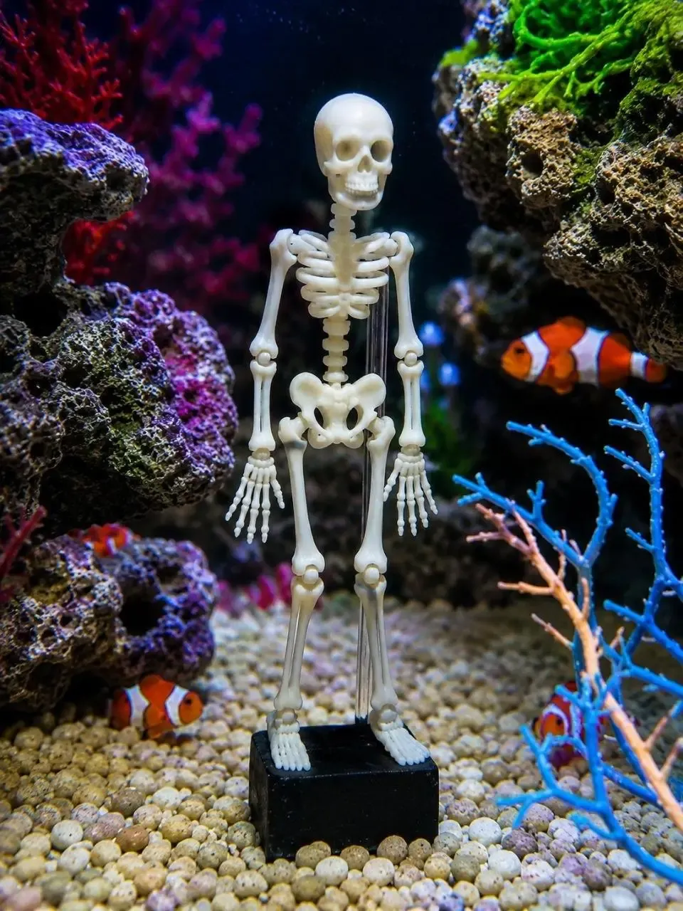 Dancing skeleton for an aquarium 3D Print Model .c4d .max .obj .3ds .fbx .stl .blend 