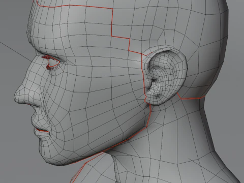 MaleCharacter 3D Model