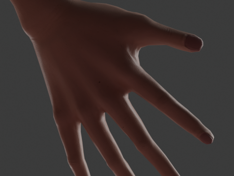 MaleCharacter 3D Model