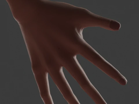 MaleCharacter 3D Model