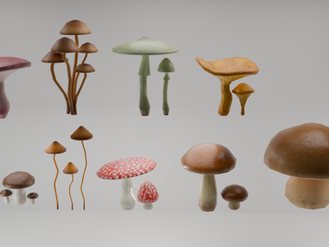 Forest mushrooms Modelo 3D